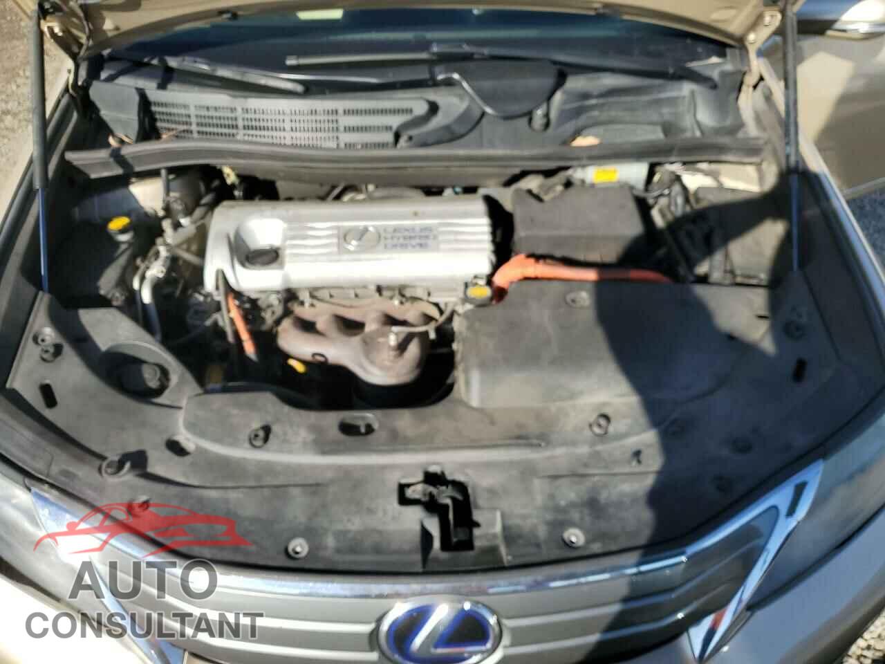 LEXUS HS 2010 - JTHBB1BA3A2018091