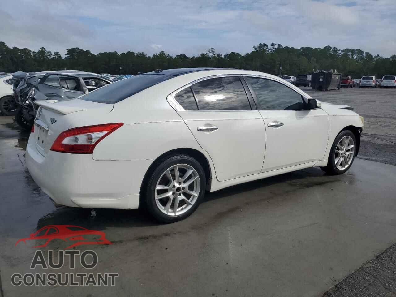 NISSAN MAXIMA 2011 - 1N4AA5AP7BC868417