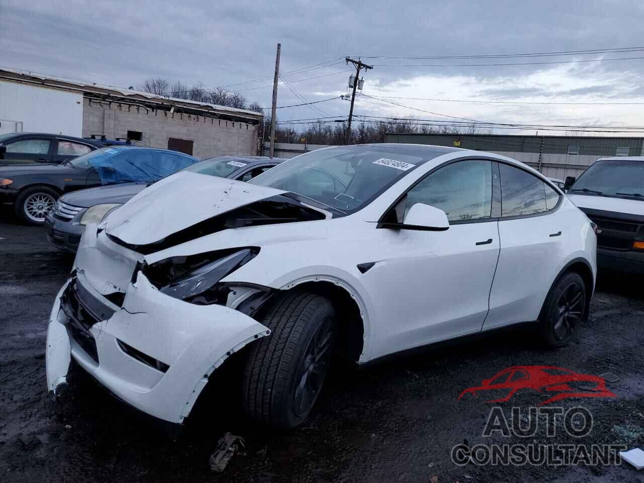 TESLA MODEL Y 2024 - 7SAYGDED2RF159699