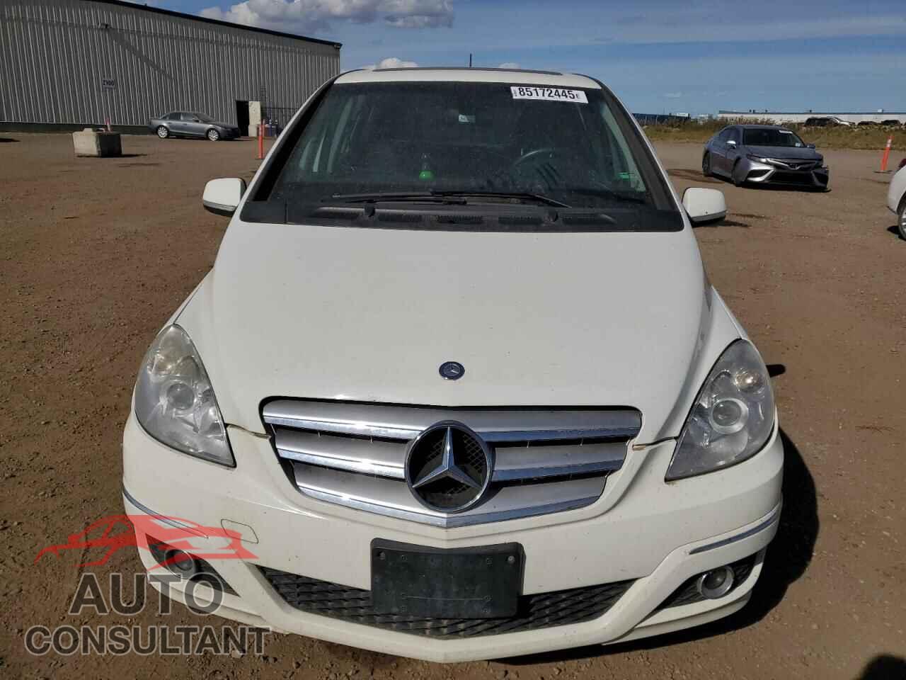 MERCEDES-BENZ B-CLASS 2011 - WDDFH3DB6BJ679016