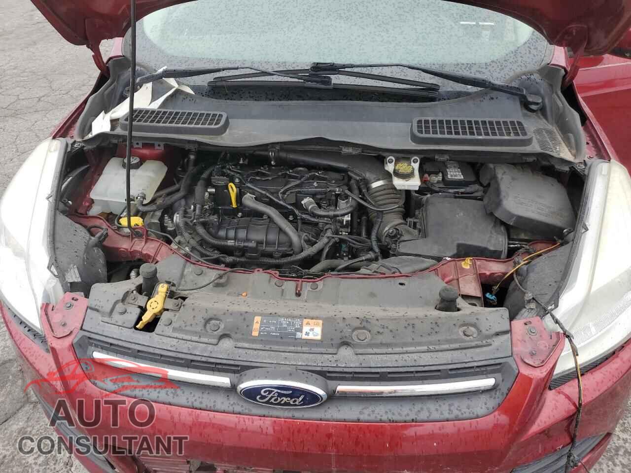 FORD ESCAPE 2014 - 1FMCU0GX4EUE21946