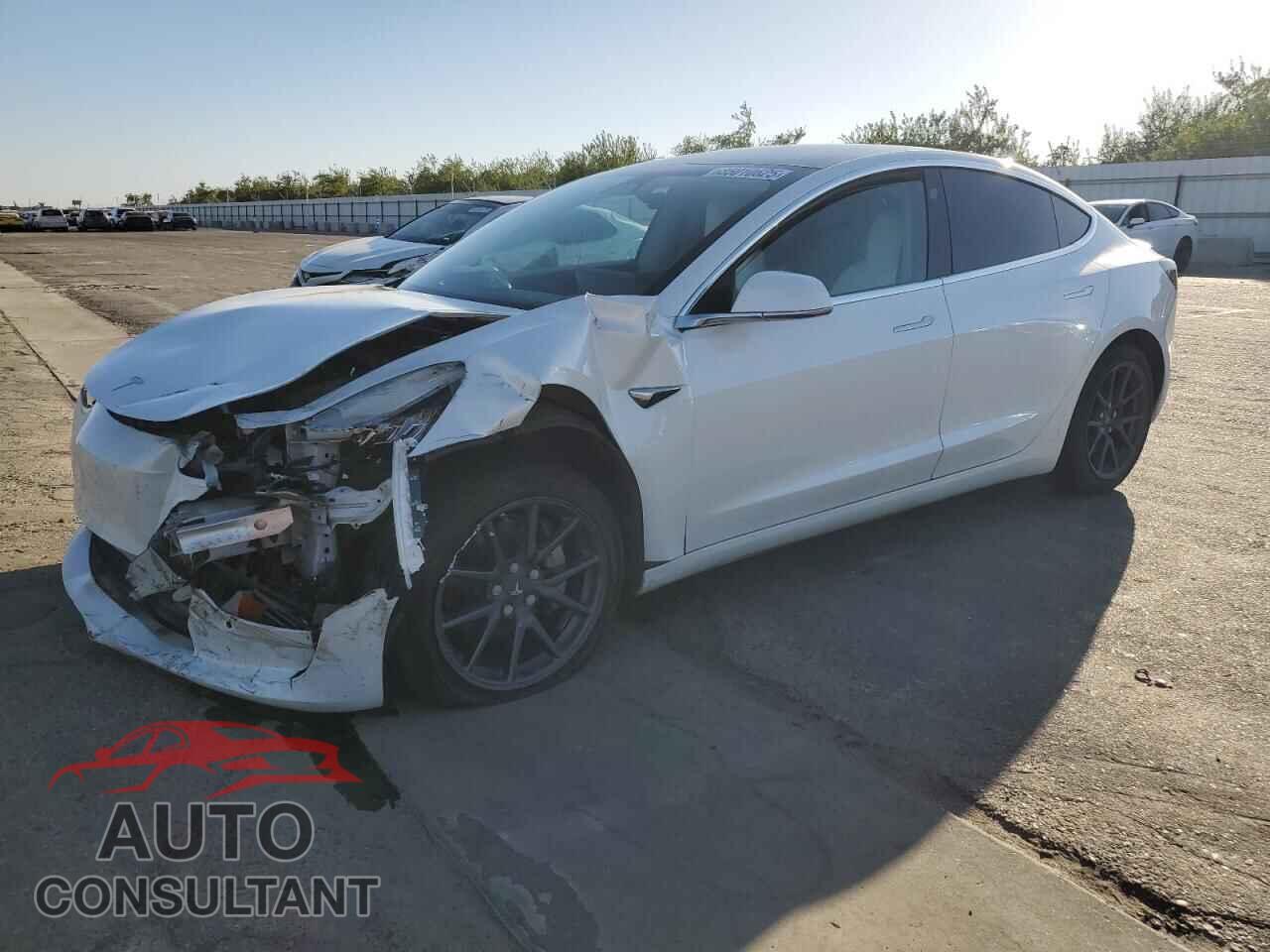TESLA MODEL 3 2019 - 5YJ3E1EA1KF509539