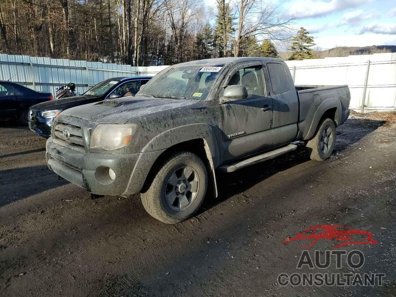 TOYOTA TACOMA 2009 - 5TEUU42N19Z604949