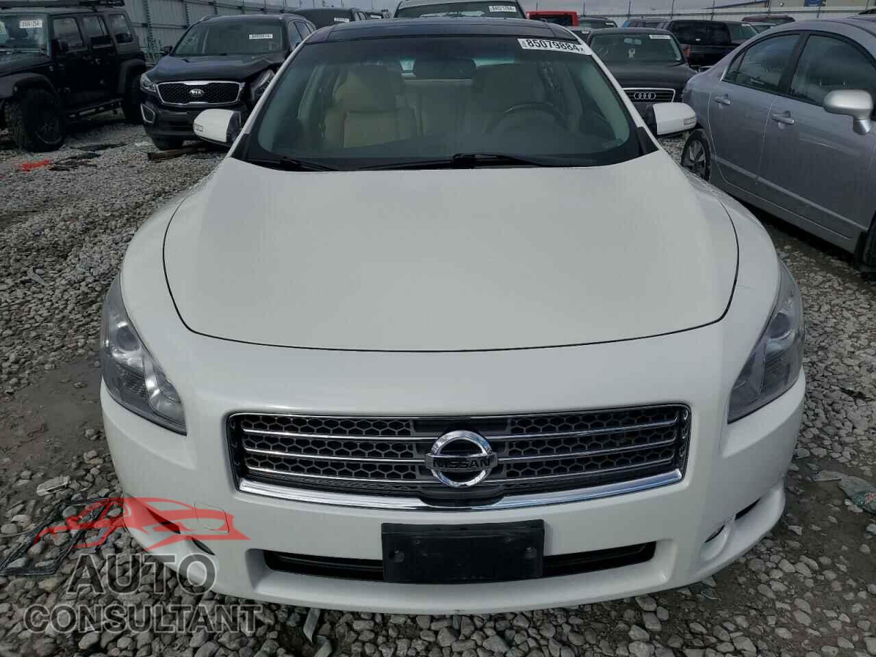 NISSAN MAXIMA 2011 - 1N4AA5AP8BC809974