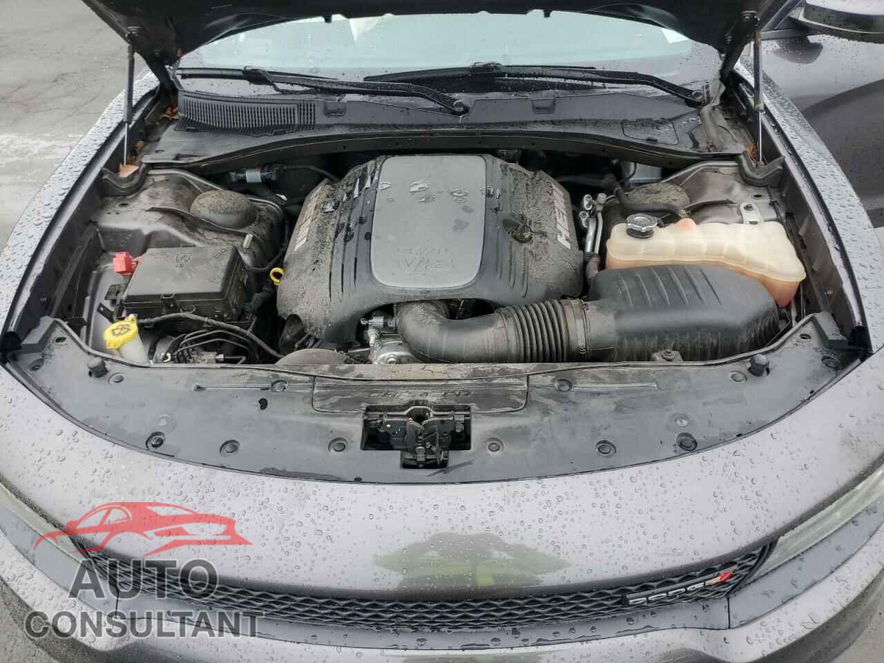 DODGE CHARGER 2019 - 2C3CDXCT6KH738016