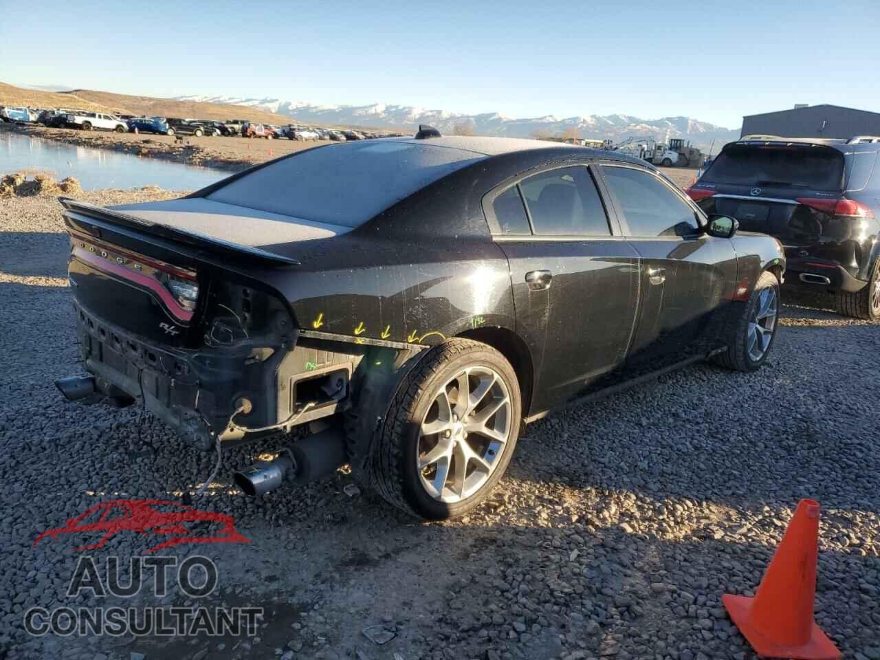 DODGE CHARGER 2019 - 2C3CDXCTXKH757216