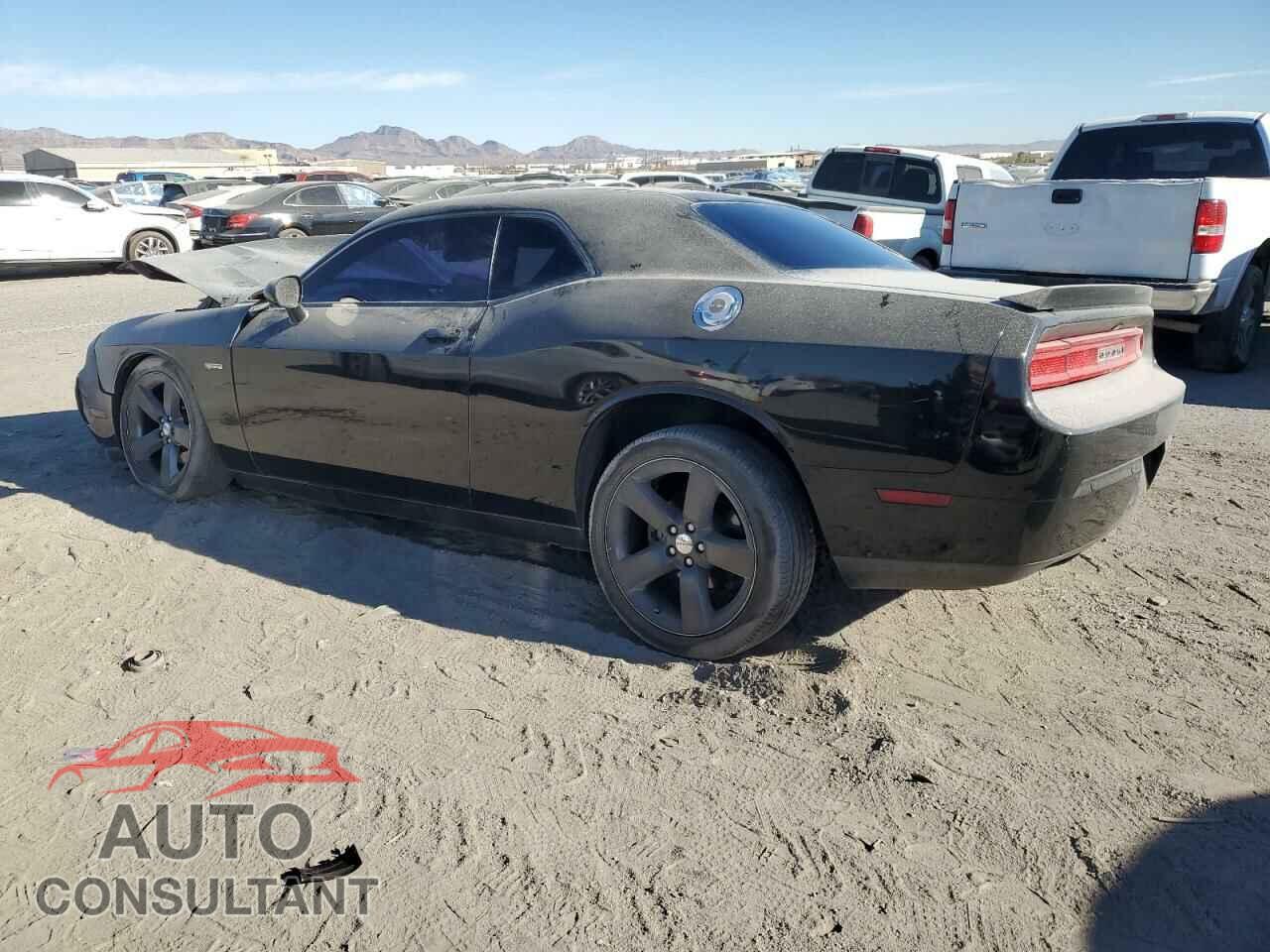 DODGE CHALLENGER 2014 - 2C3CDYBT2EH225423