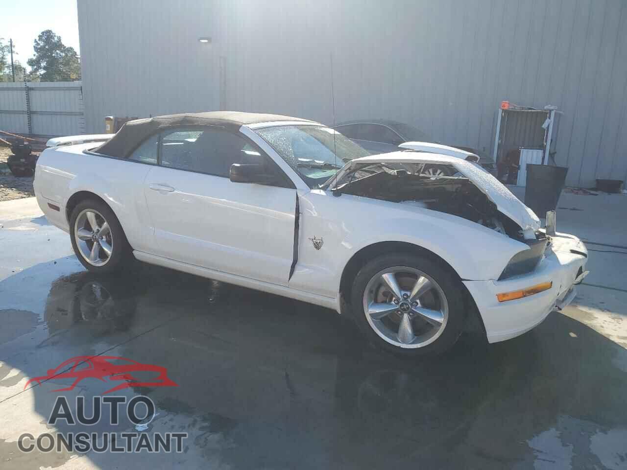 FORD MUSTANG 2009 - 1ZVHT85H395123053