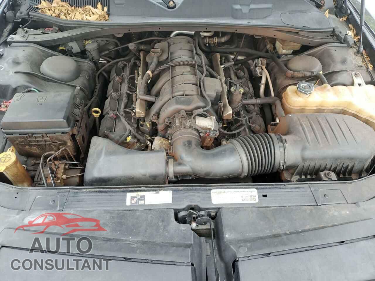 DODGE CHALLENGER 2014 - 2C3CDYBT9EH231896
