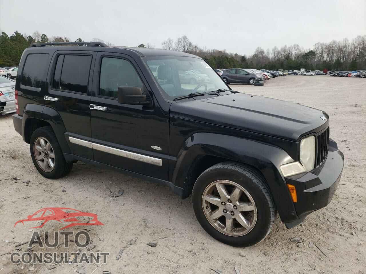 JEEP LIBERTY 2012 - 1C4PJMAK9CW165467