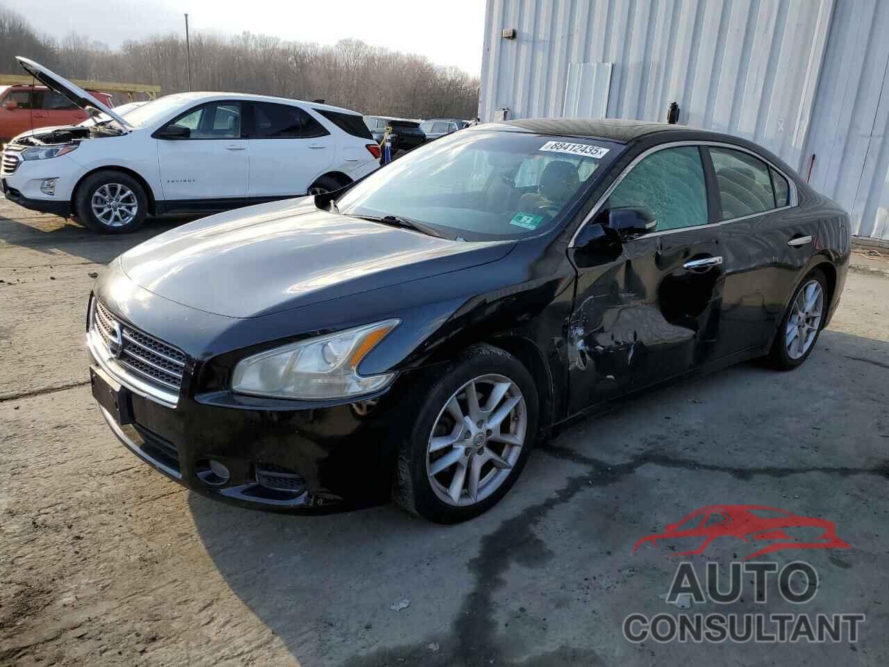 NISSAN MAXIMA 2009 - 1N4AA51E89C847360