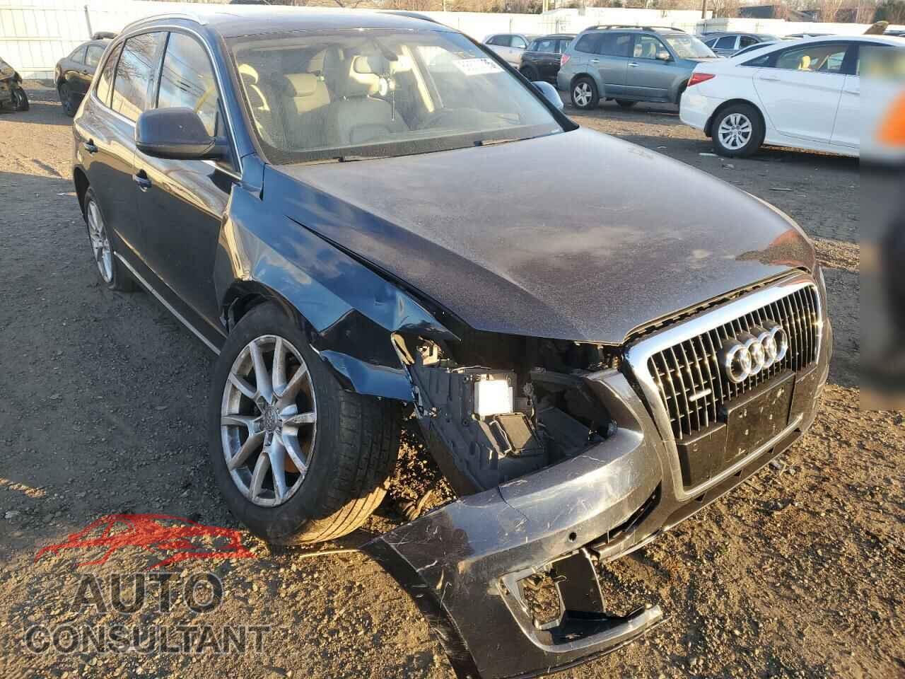 AUDI Q5 2010 - WA1LKAFP3AA021433