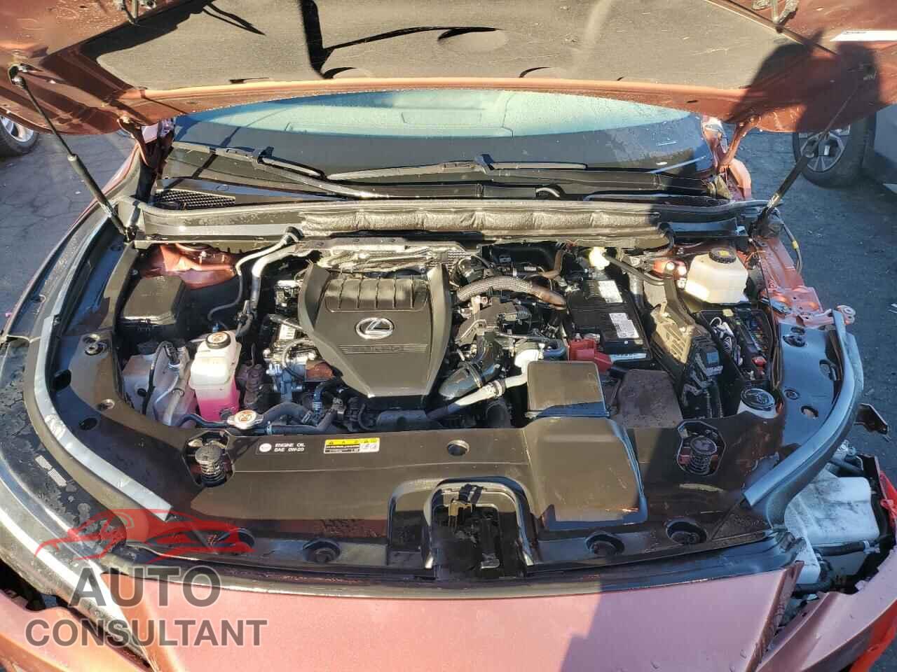 LEXUS RX350 2023 - 2T2BAMCA8PC032899