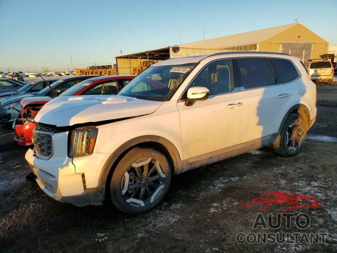 KIA TELLURIDE 2024 - 5XYP6DGC2RG498262