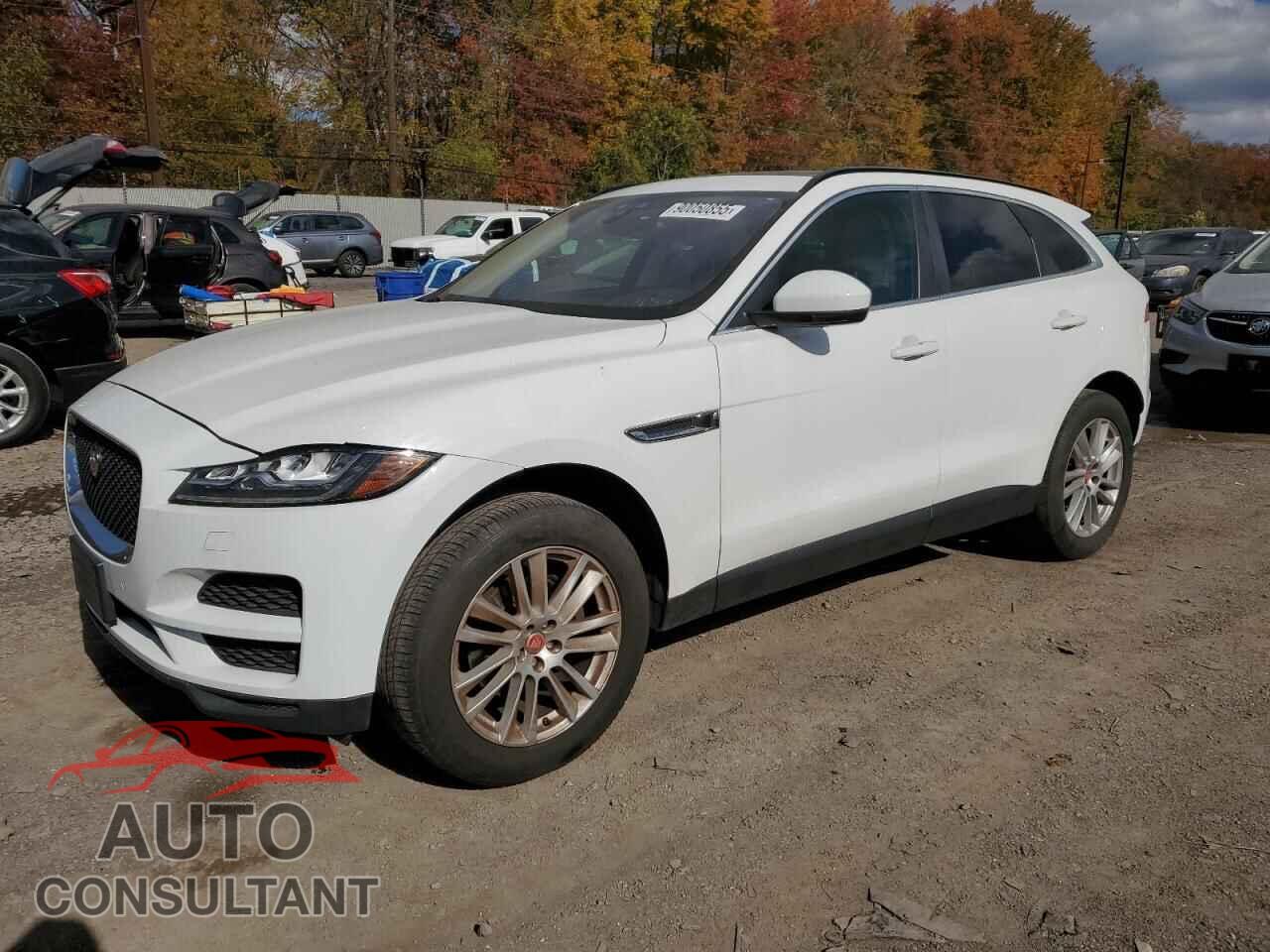 JAGUAR F-PACE 2017 - SADCK2BN6HA087778