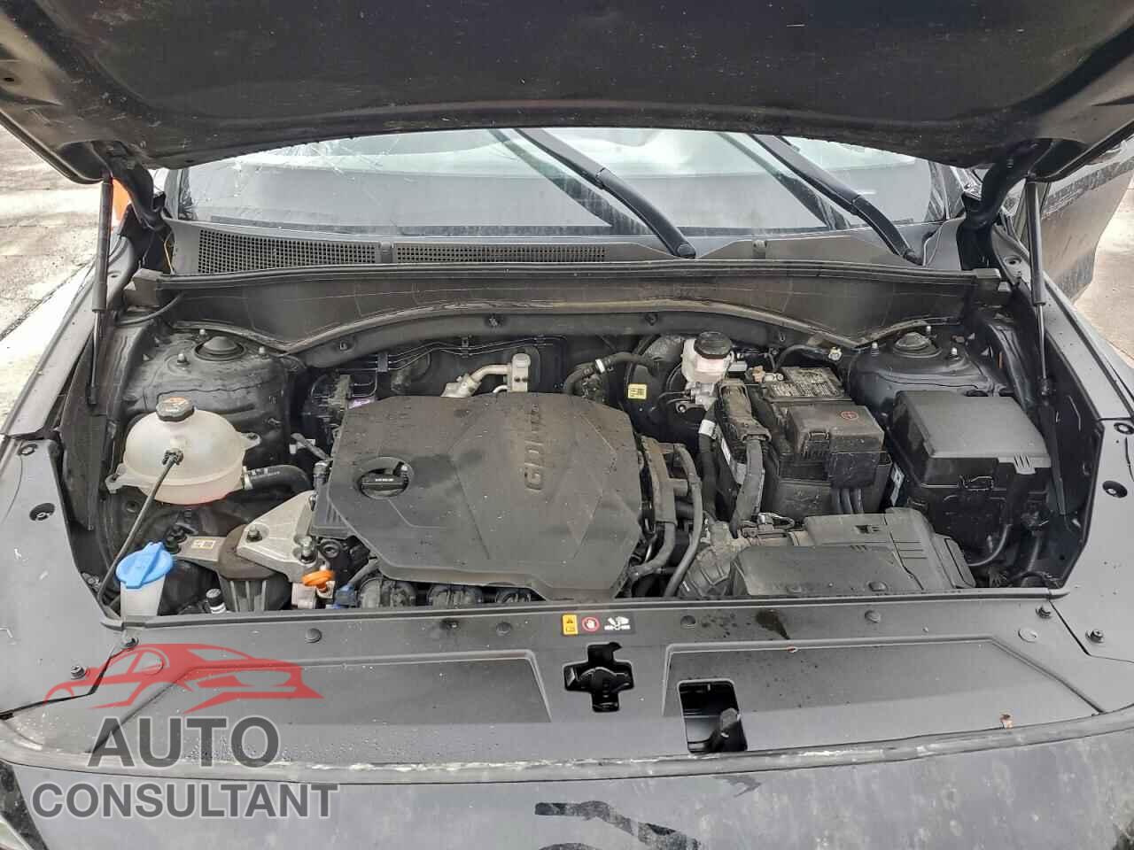 HYUNDAI SANTA FE 2023 - 5NMS14AJXPH618991