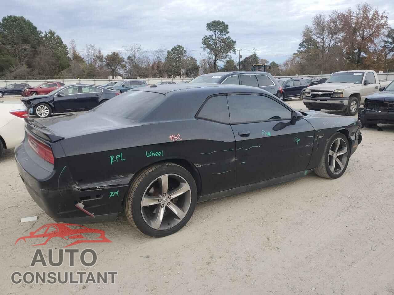 DODGE CHALLENGER 2014 - 2C3CDYAG7EH310858
