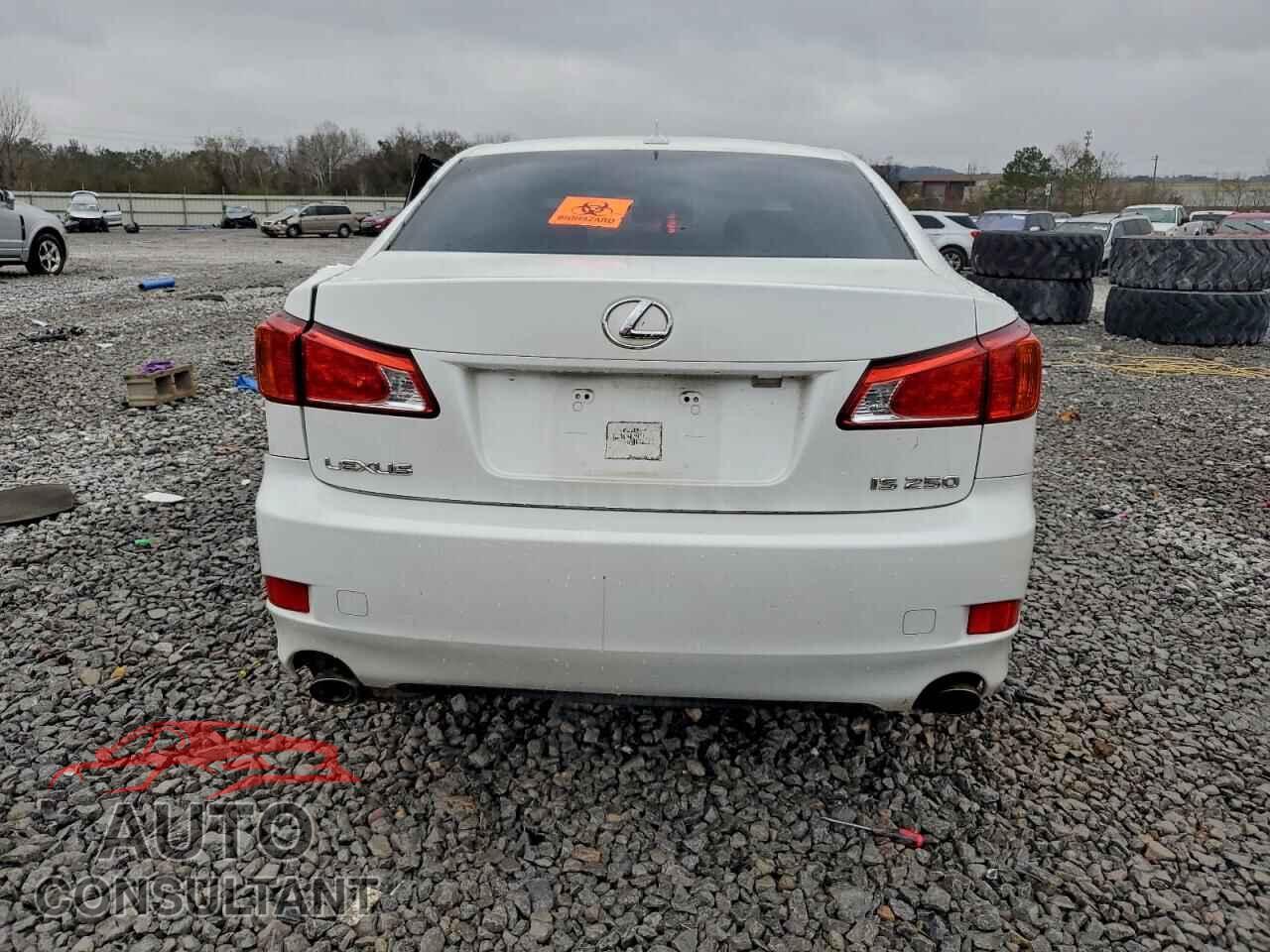 LEXUS IS 2010 - JTHBF5C29A2094689