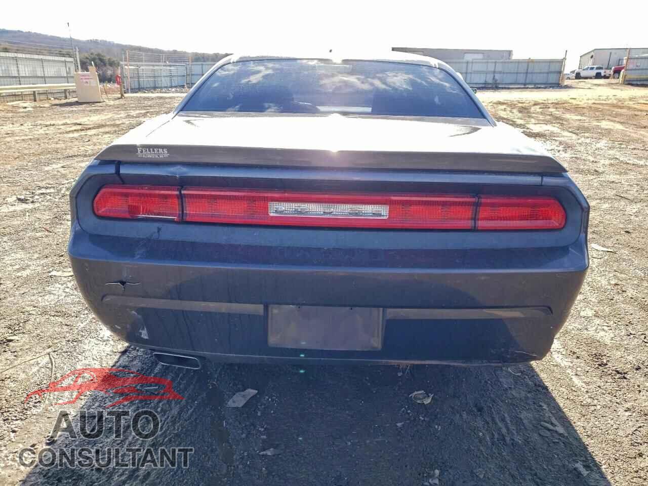 DODGE CHALLENGER 2014 - 2C3CDYAG0EH313830