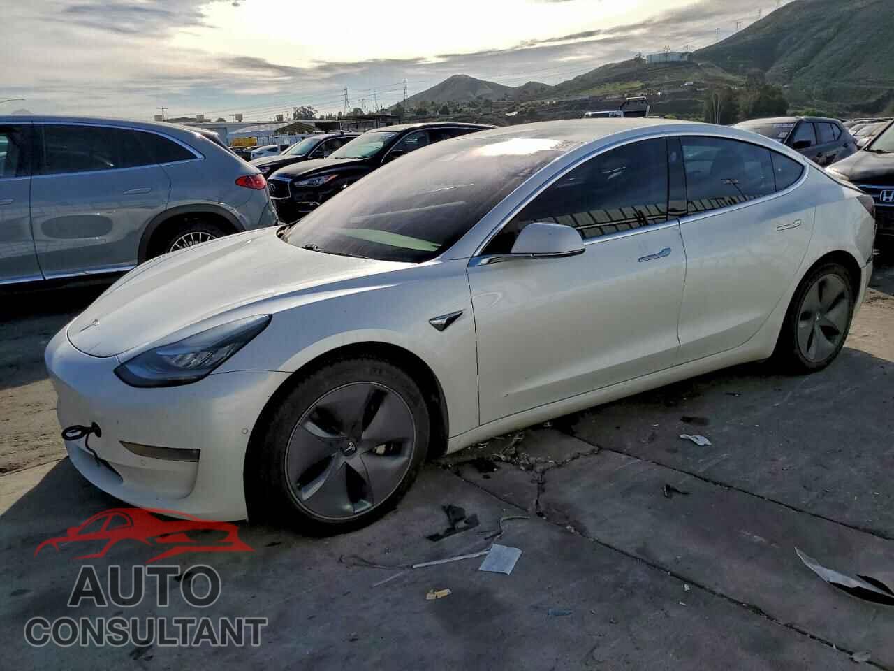 TESLA MODEL 3 2019 - 5YJ3E1EB2KF436934