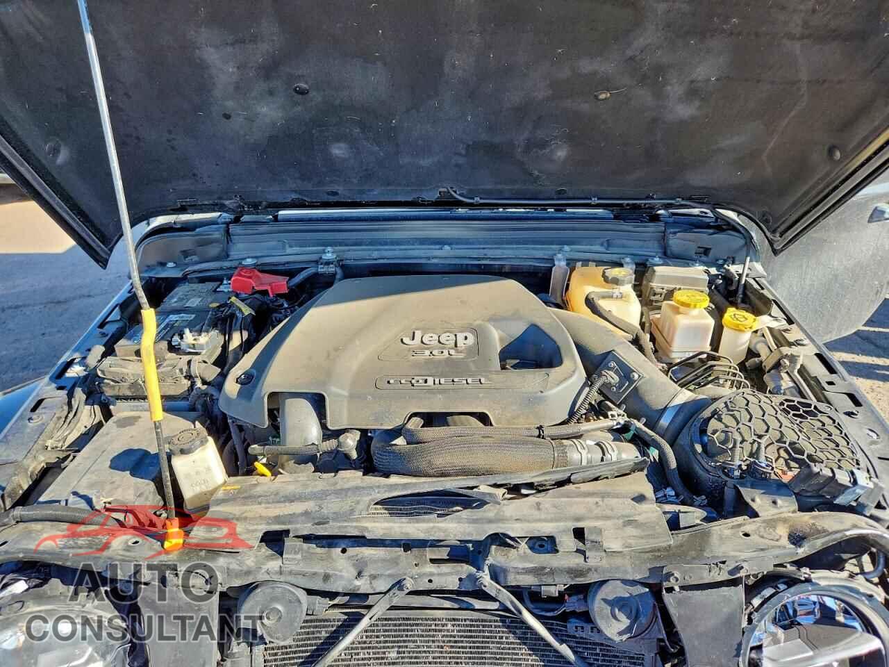 JEEP GLADIATOR 2021 - 1C6JJTFM1ML513069