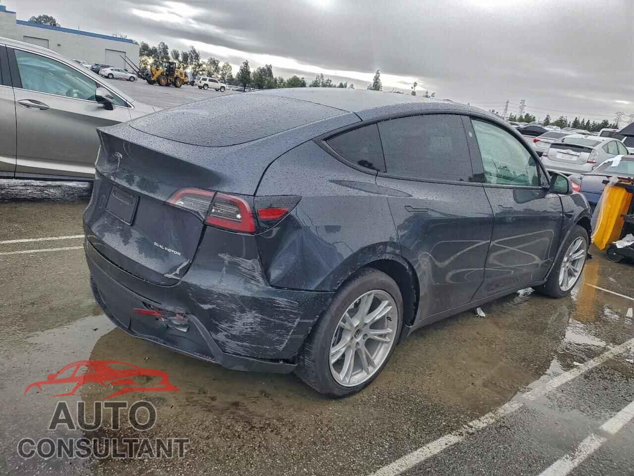 TESLA MODEL Y 2024 - 7SAYGAEE3RF063829