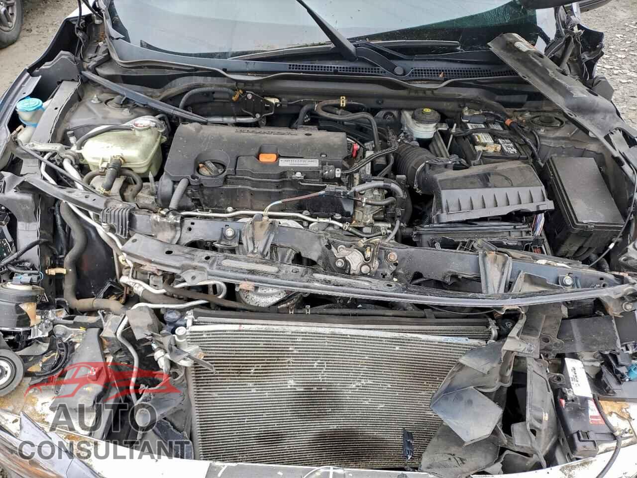 HONDA CIVIC 2017 - 2HGFC2F51HH515355