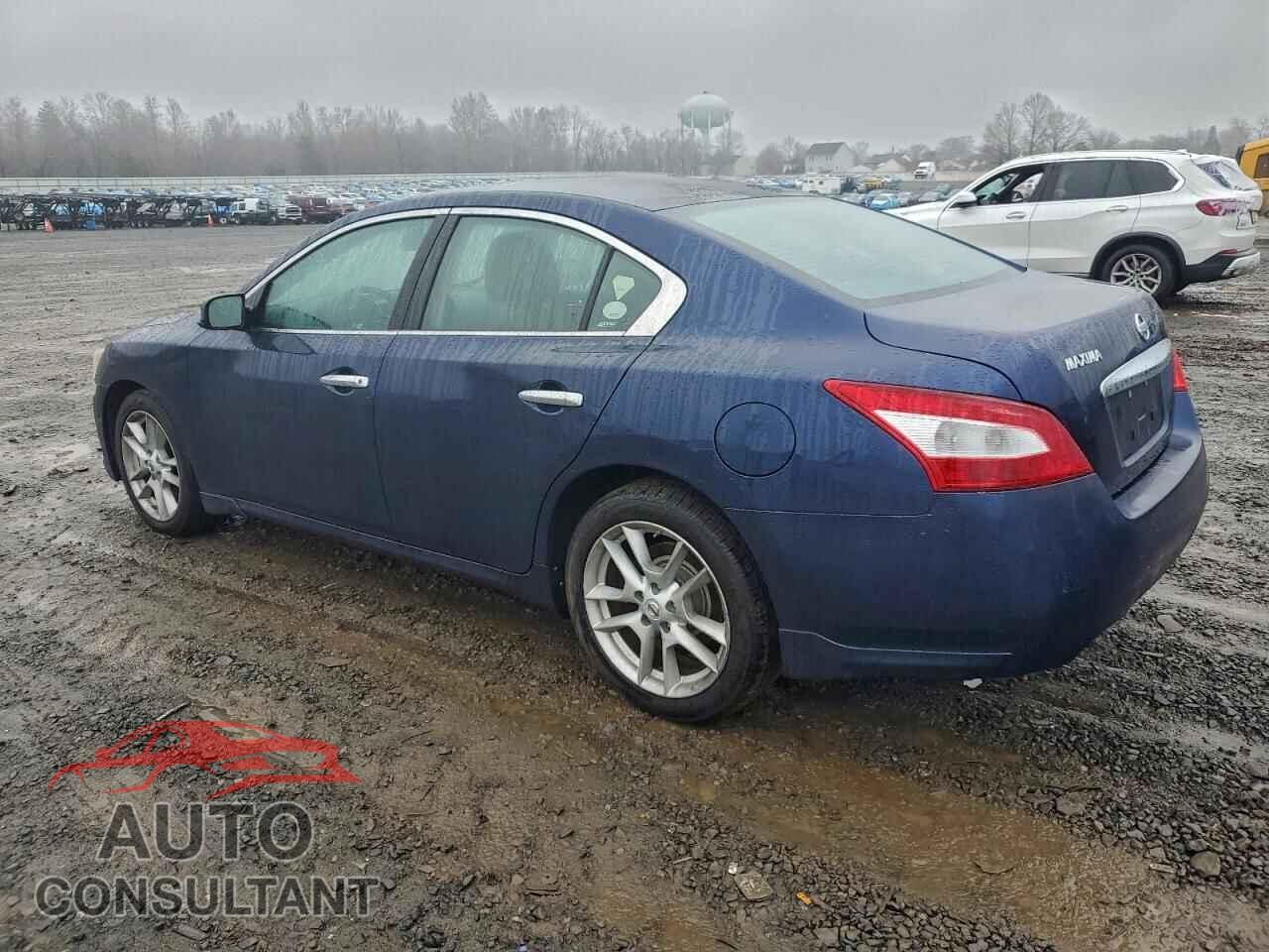 NISSAN MAXIMA 2010 - 1N4AA5AP1AC875104