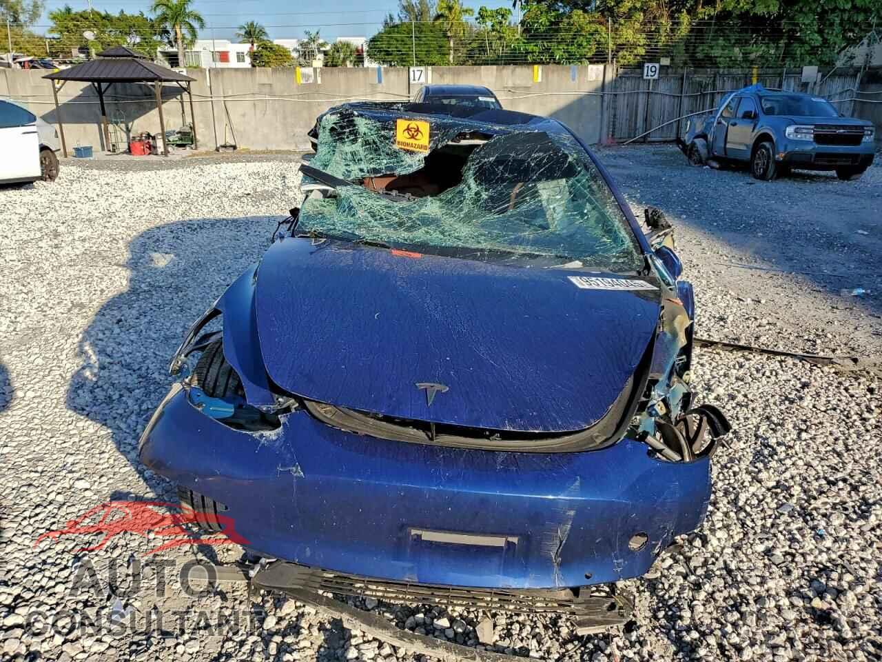 TESLA MODEL 3 2019 - 5YJ3E1EA2KF431739