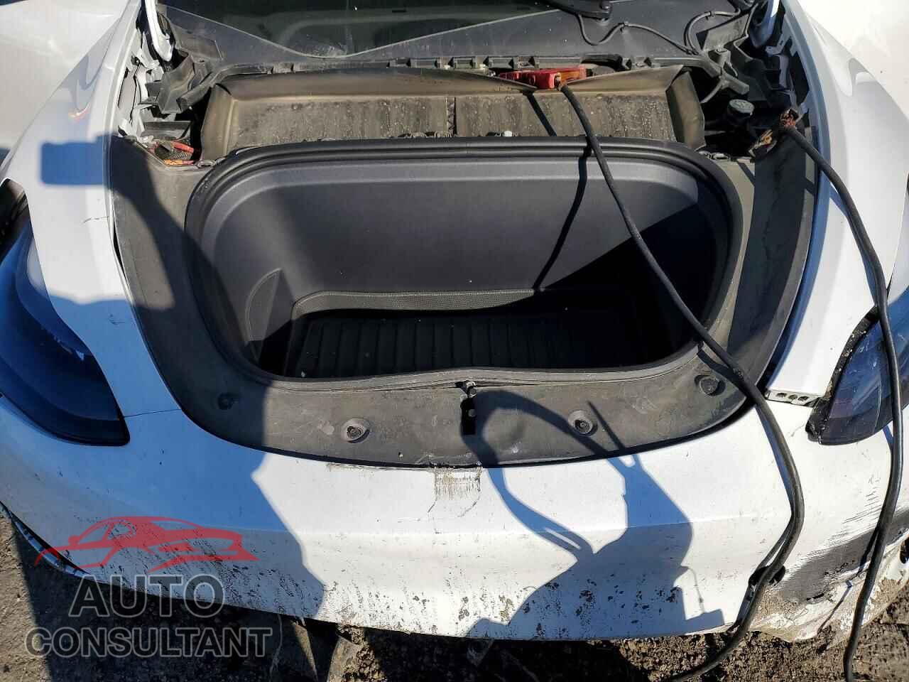 TESLA MODEL Y 2024 - 7SAYGDED2RF113385