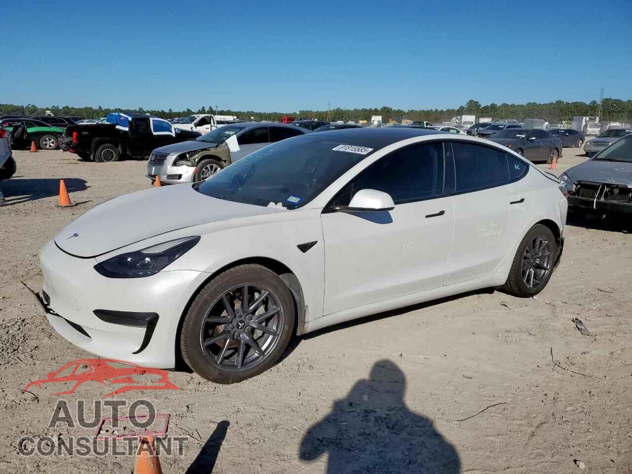 TESLA MODEL 3 2021 - 5YJ3E1EA3MF976299