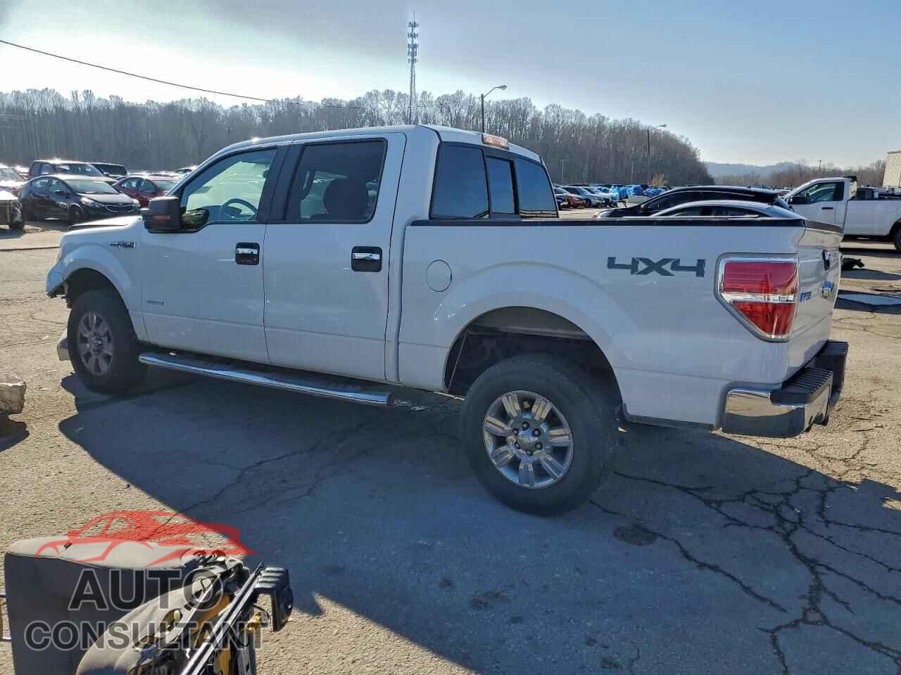 FORD F-150 2011 - 1FTFW1ET2BFD01838