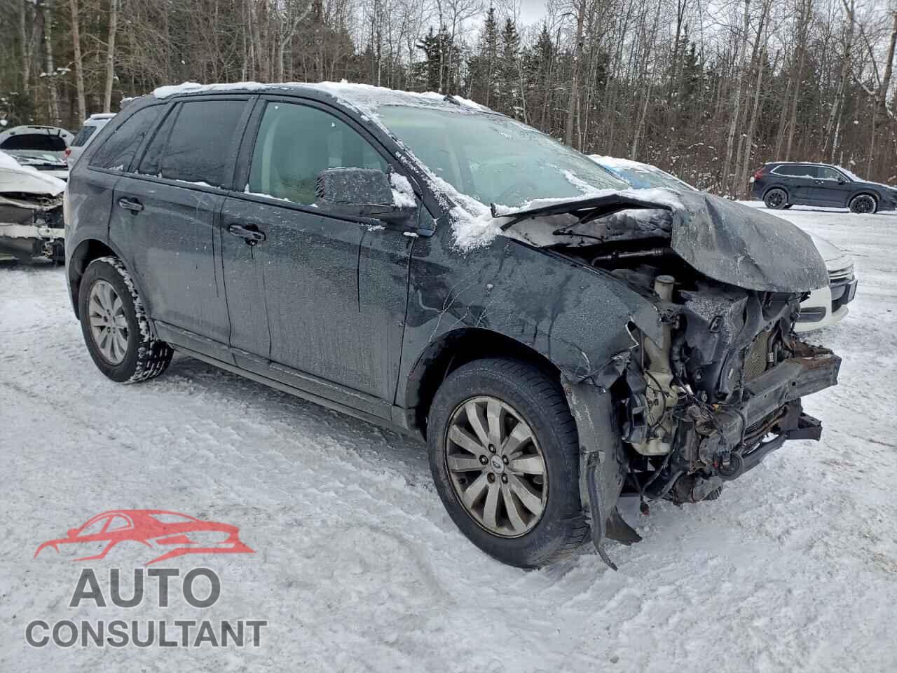 FORD EDGE 2009 - 2FMDK38C09BA70794