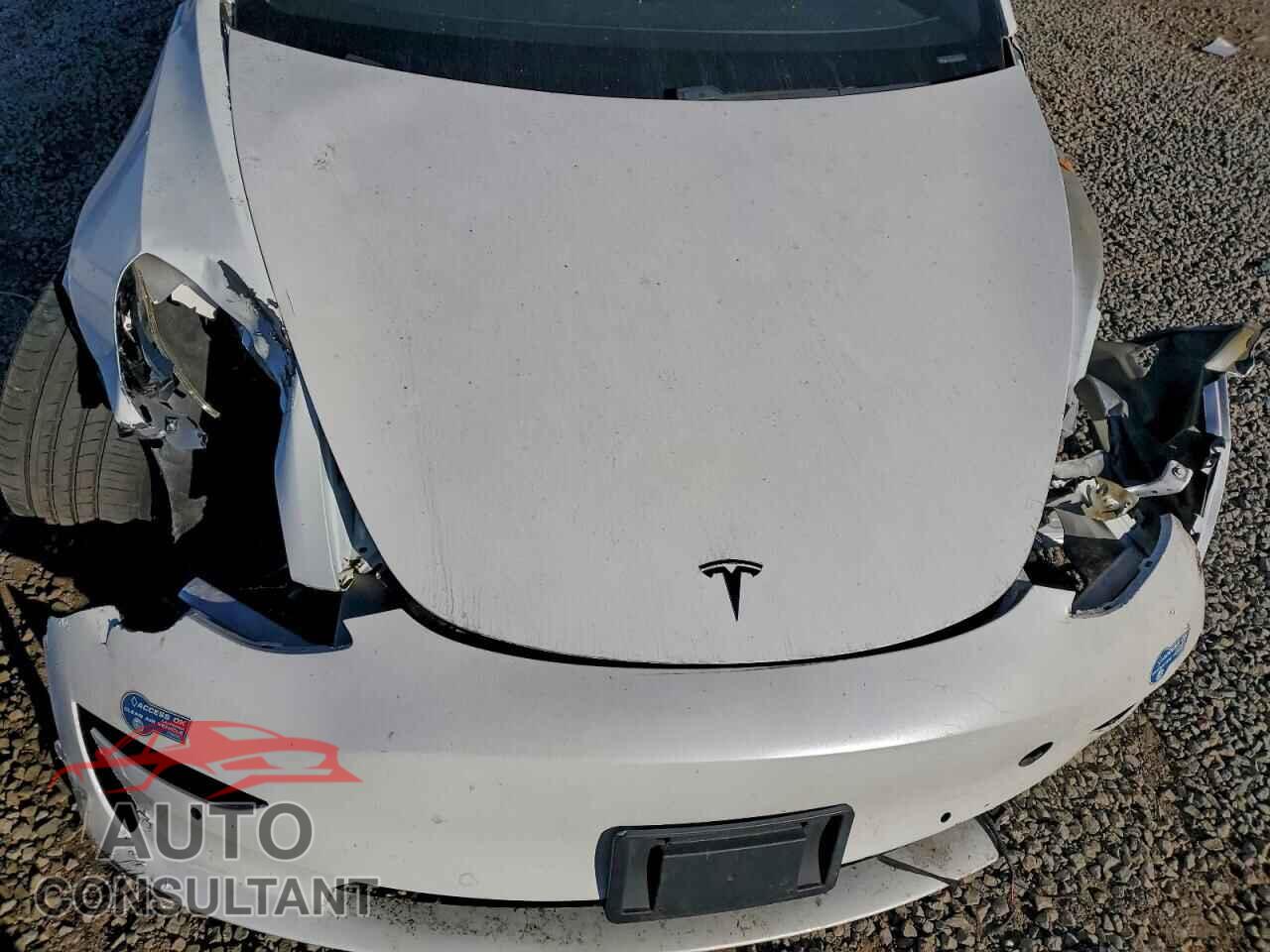 TESLA MODEL 3 2021 - 5YJ3E1EB3MF064975