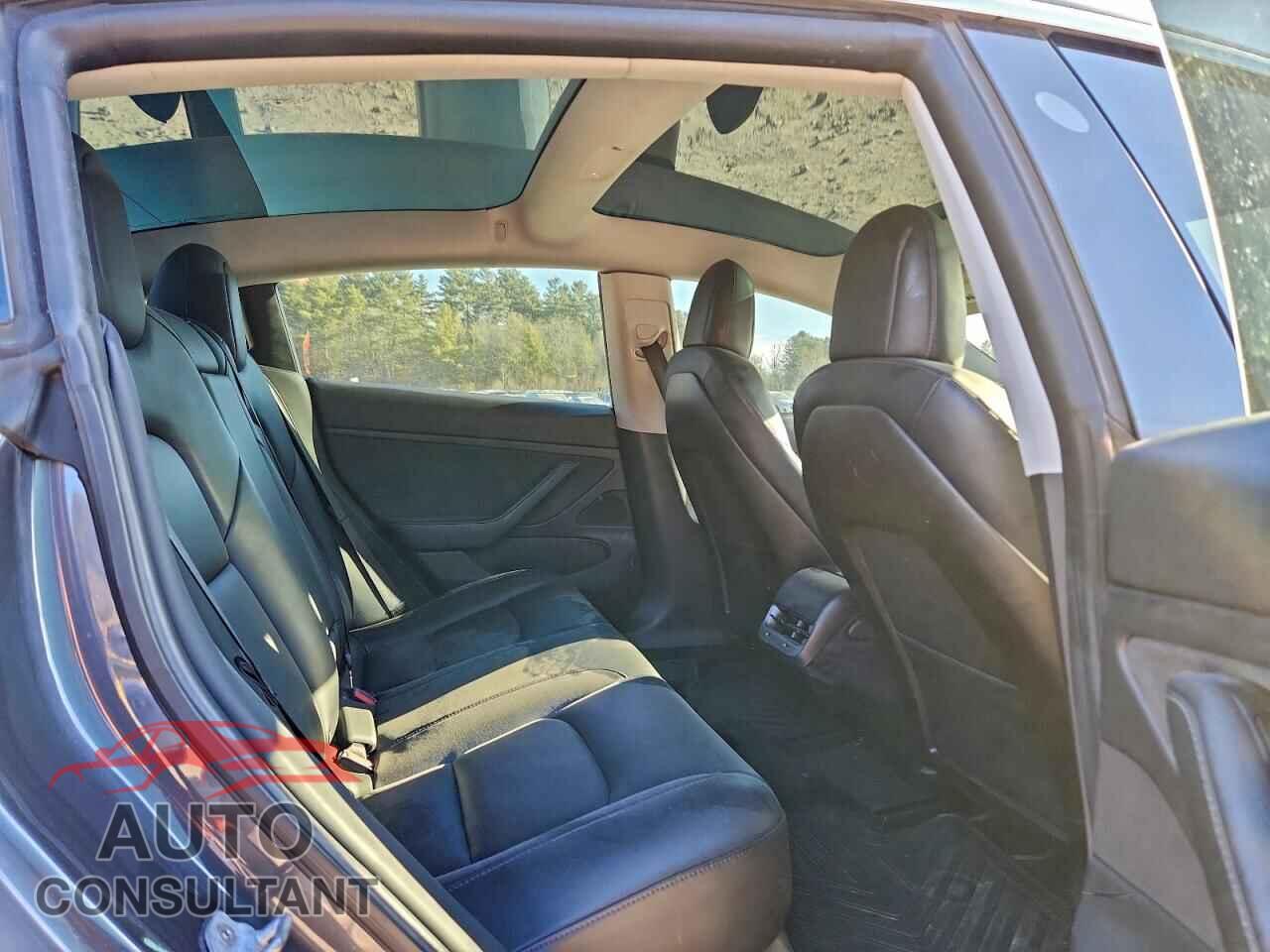 TESLA MODEL 3 2019 - 5YJ3E1EA8KF435293
