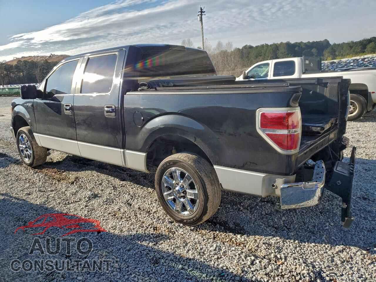 FORD F-150 2013 - 1FTFW1CF8DFD53183