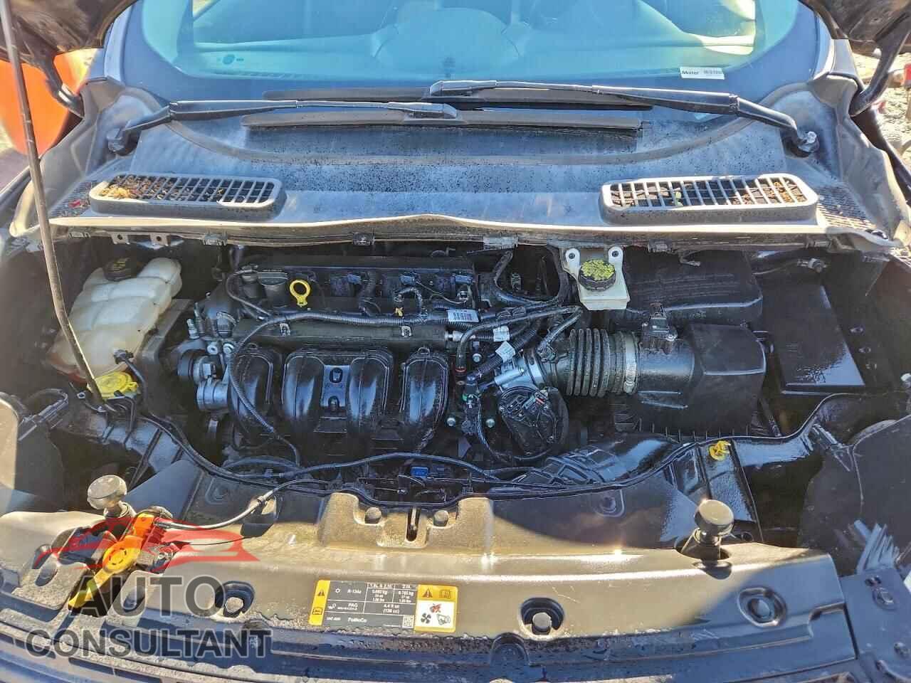 FORD ESCAPE 2014 - 1FMCU0F76EUB99511