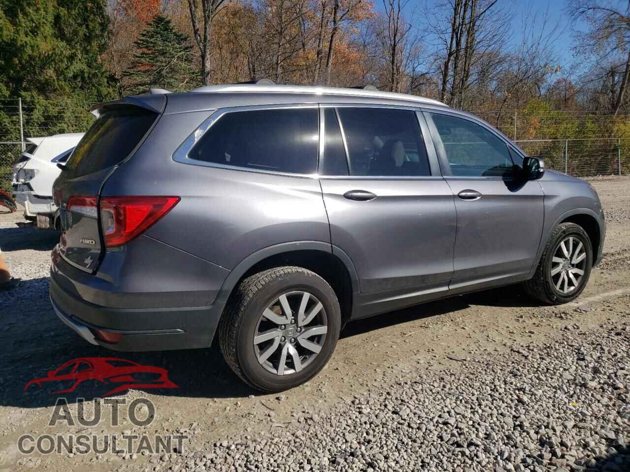 HONDA PILOT 2019 - 5FNYF6H55KB093445