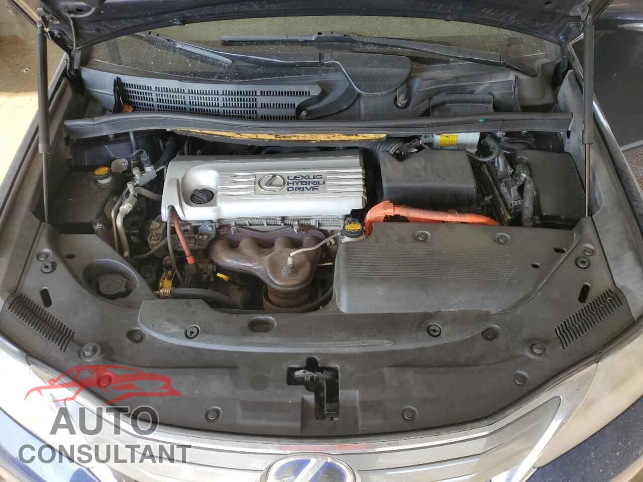 LEXUS HS 2012 - JTHBB1BA9C2051616