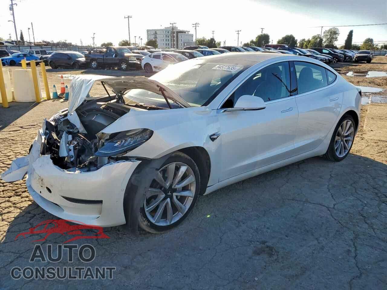 TESLA MODEL 3 2020 - 5YJ3E1EA7LF806509