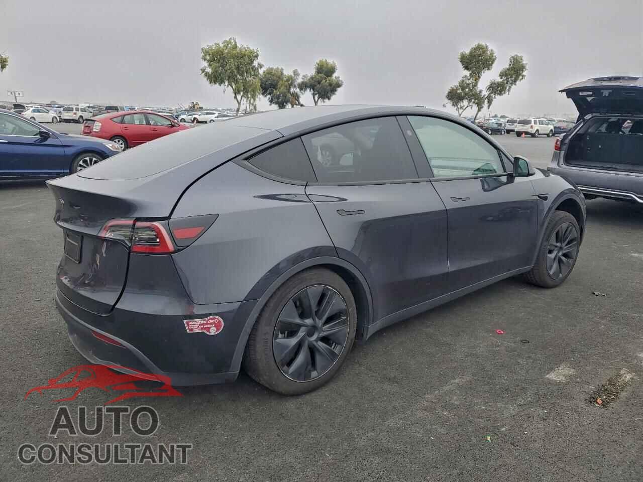 TESLA MODEL Y 2024 - 7SAYGDED1RF152212
