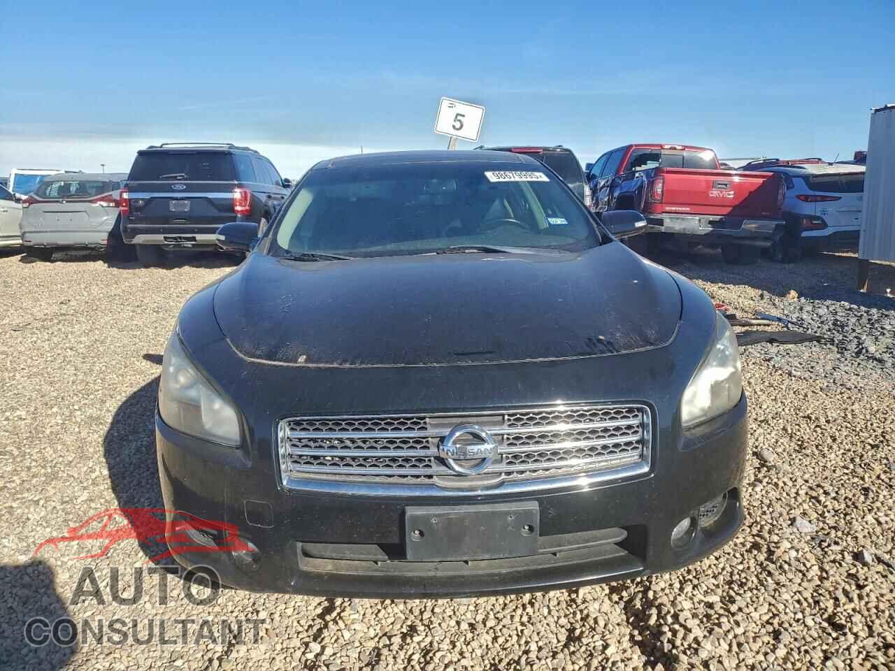 NISSAN MAXIMA 2011 - 1N4AA5AP1BC815681