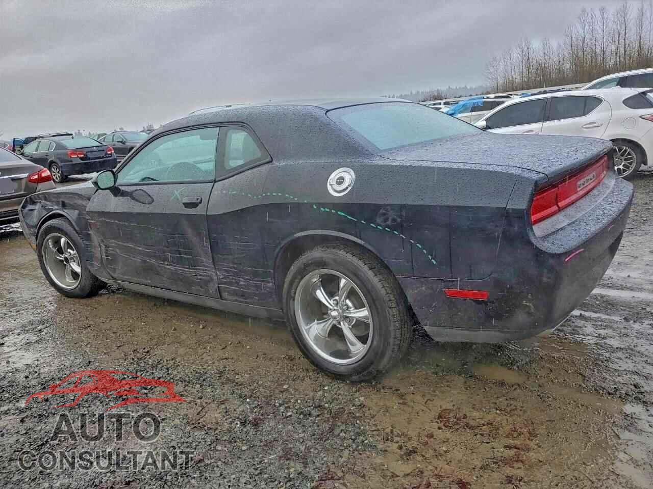 DODGE CHALLENGER 2013 - 2C3CDYAG2DH704735