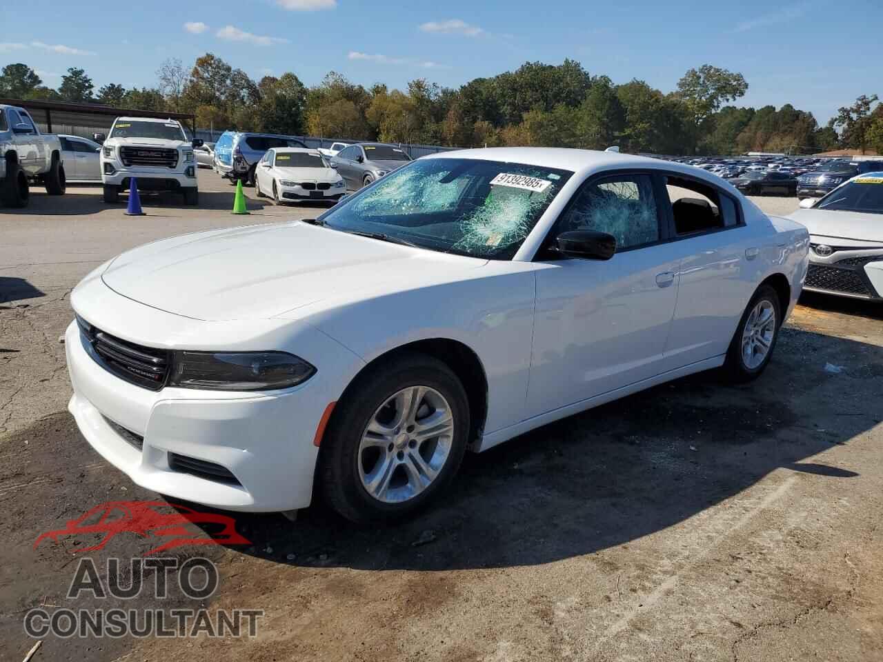 DODGE CHARGER 2023 - 2C3CDXBG5PH531015
