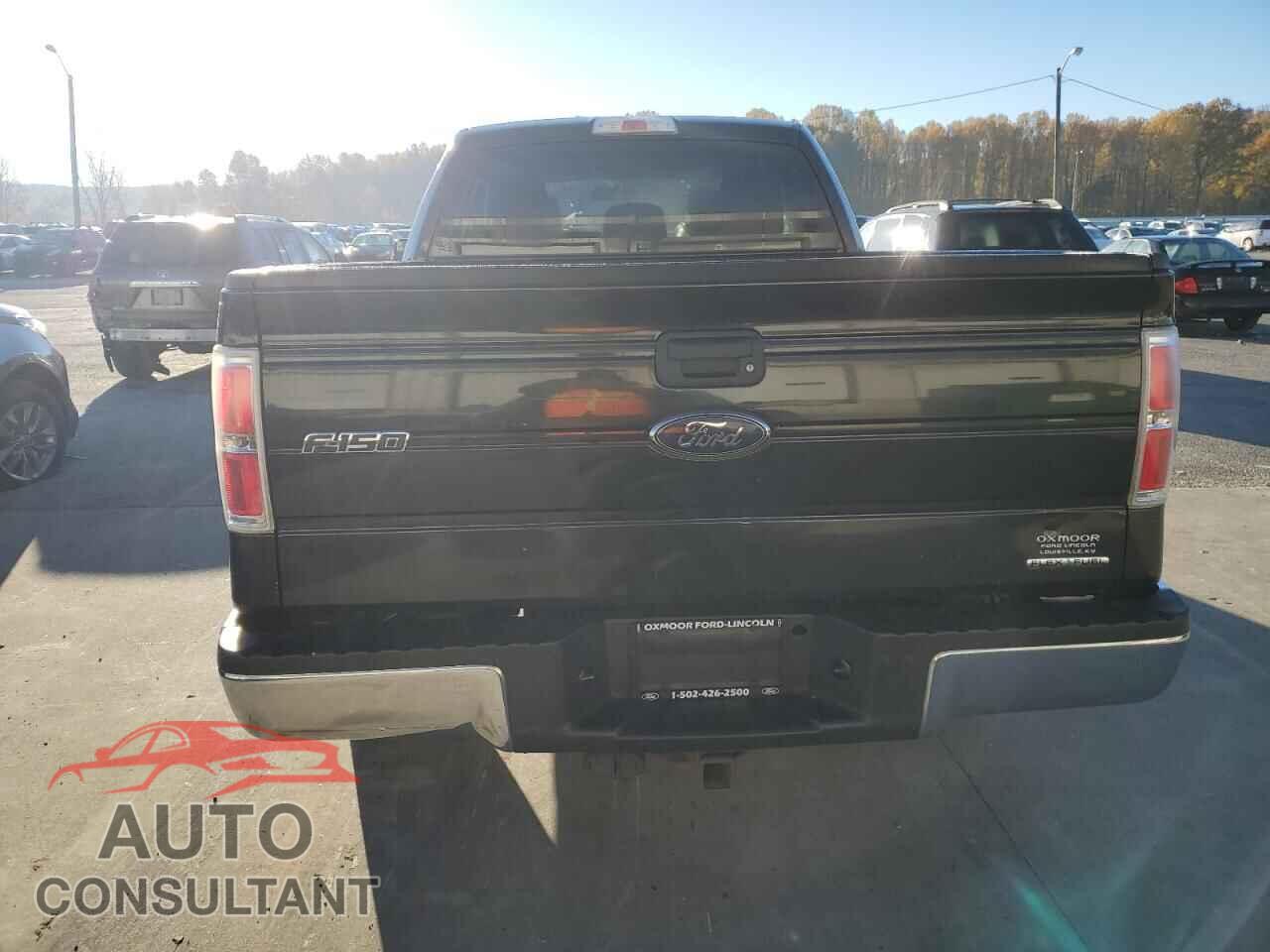 FORD F-150 2012 - 1FTFX1CF4CFC92202