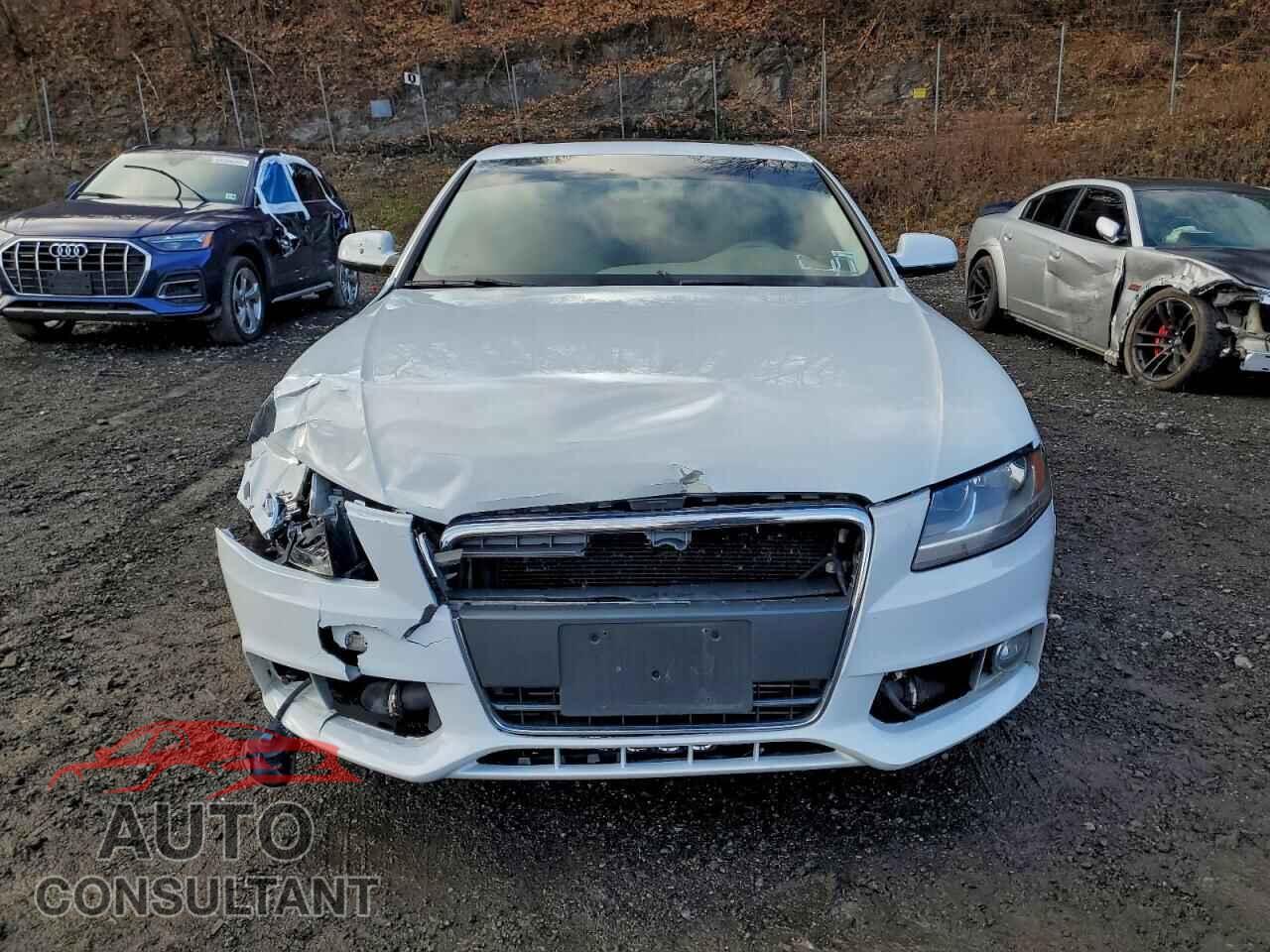 AUDI A4 2012 - WAUBFAFL2CN013237