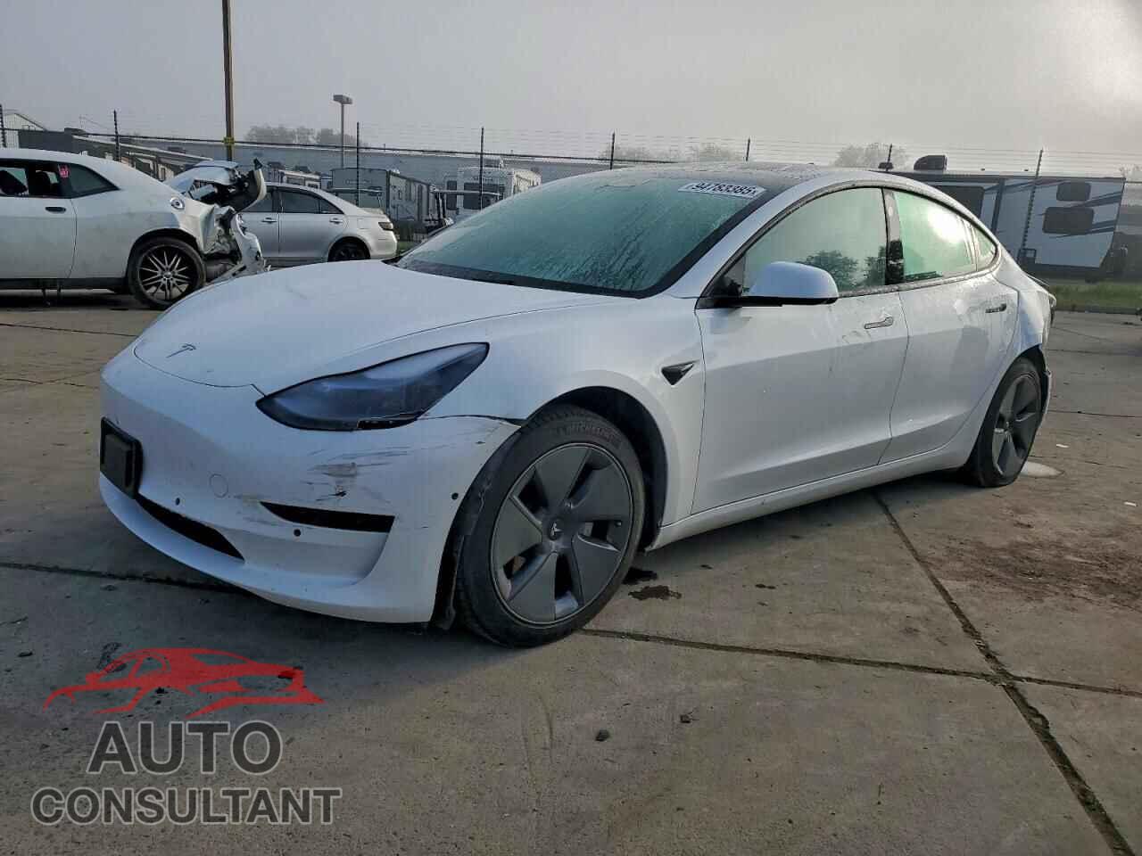 TESLA MODEL 3 2021 - 5YJ3E1EA7MF093810