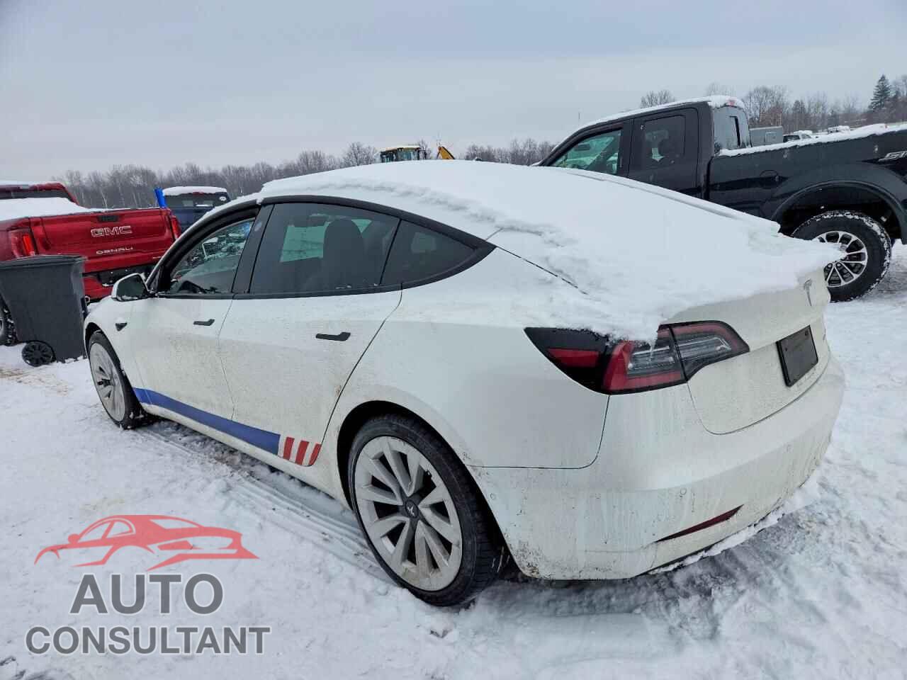 TESLA MODEL 3 2021 - 5YJ3E1EB8MF919184