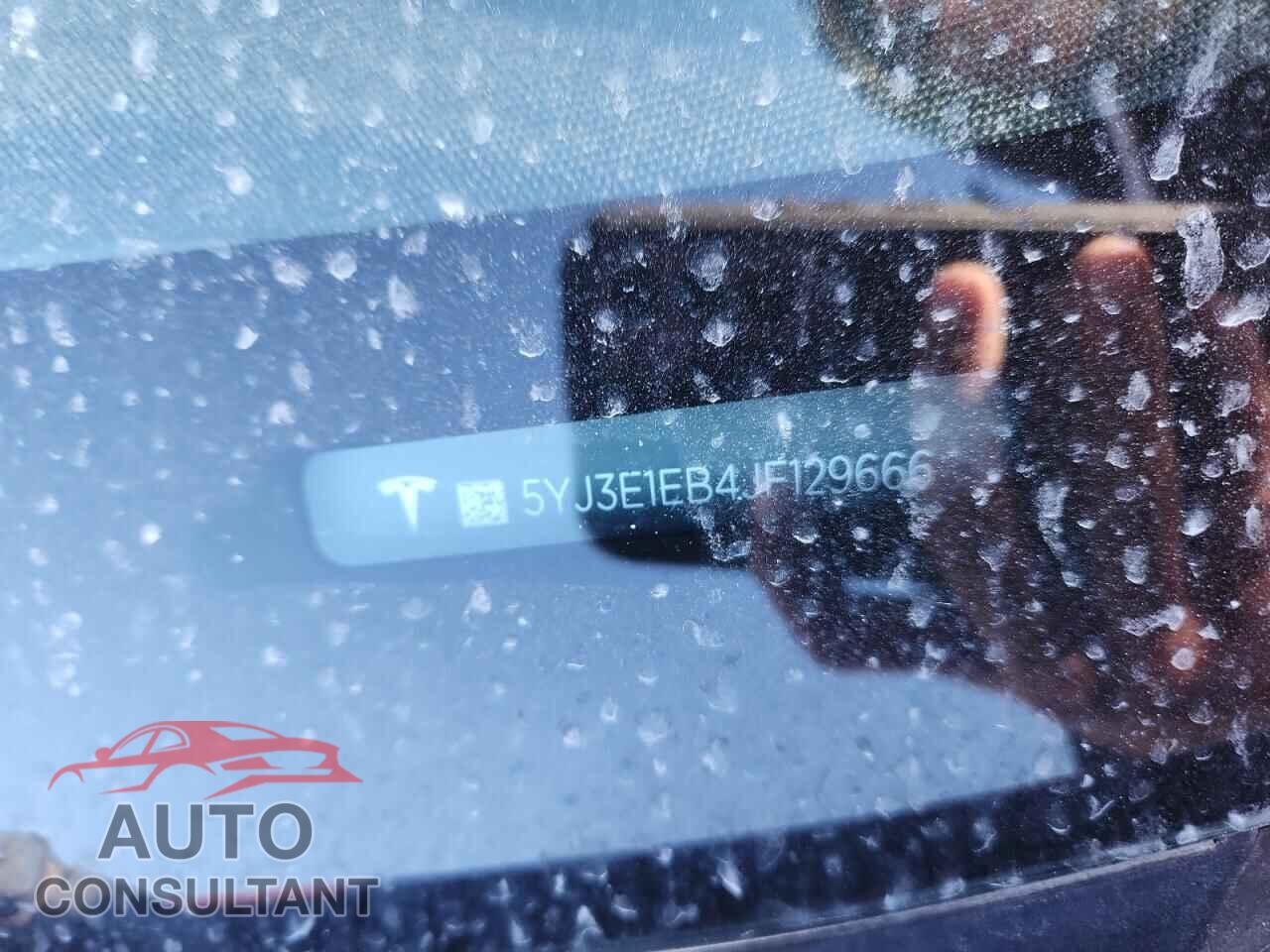 TESLA MODEL 3 2018 - 5YJ3E1EB4JF129666