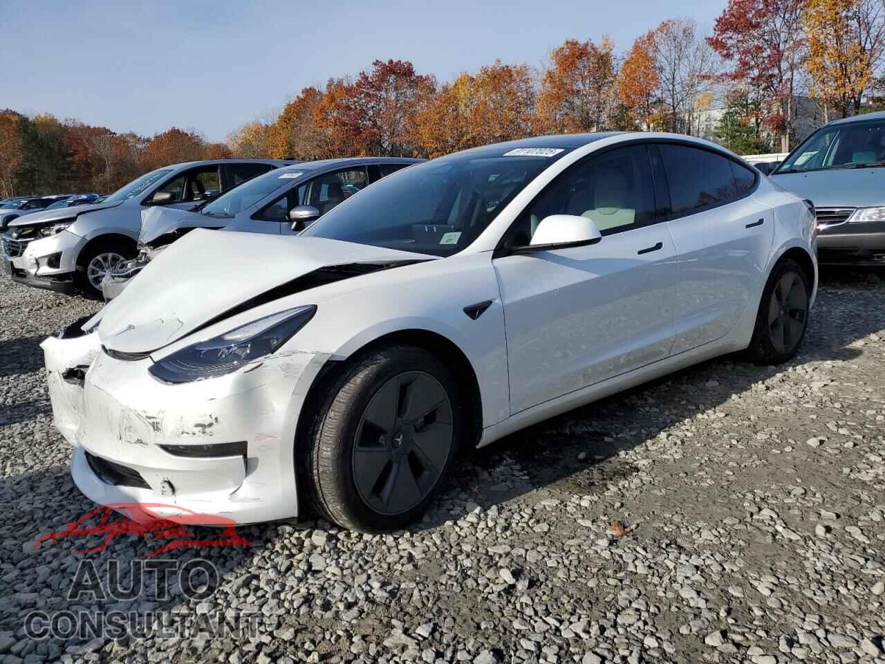 TESLA MODEL 3 2023 - 5YJ3E1EA2PF499174